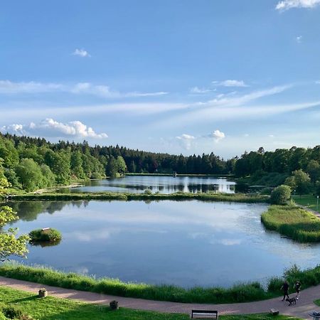 Apartment Seeblick Am Bocksberg - Hahnenklee "Vier Jahreszeiten" ゴスラー エクステリア 写真