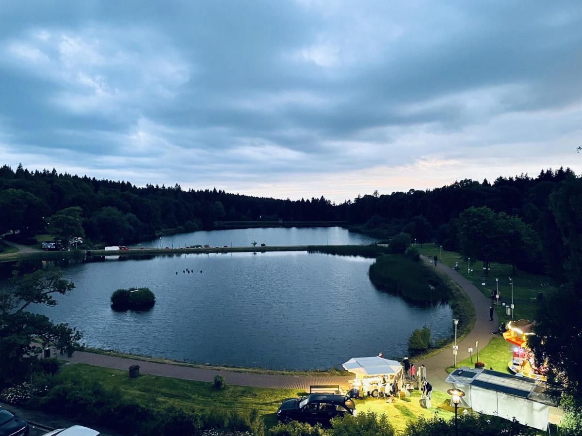 Apartment Seeblick Am Bocksberg - Hahnenklee "Vier Jahreszeiten" ゴスラー エクステリア 写真