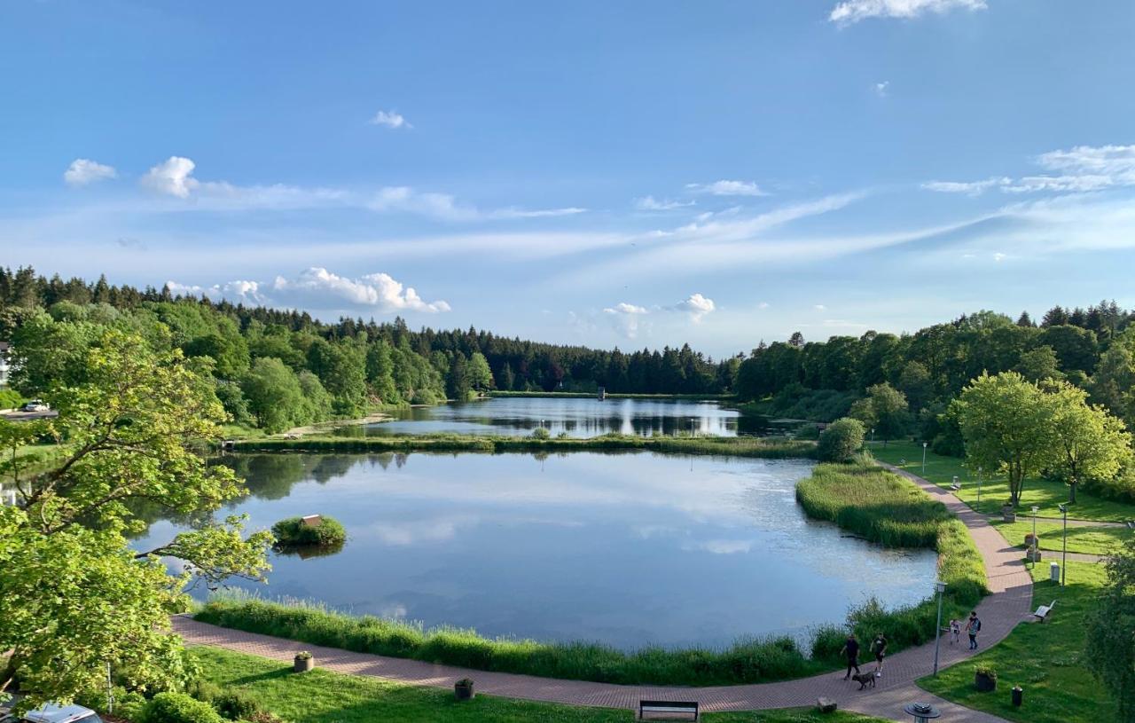 Apartment Seeblick Am Bocksberg - Hahnenklee "Vier Jahreszeiten" ゴスラー エクステリア 写真
